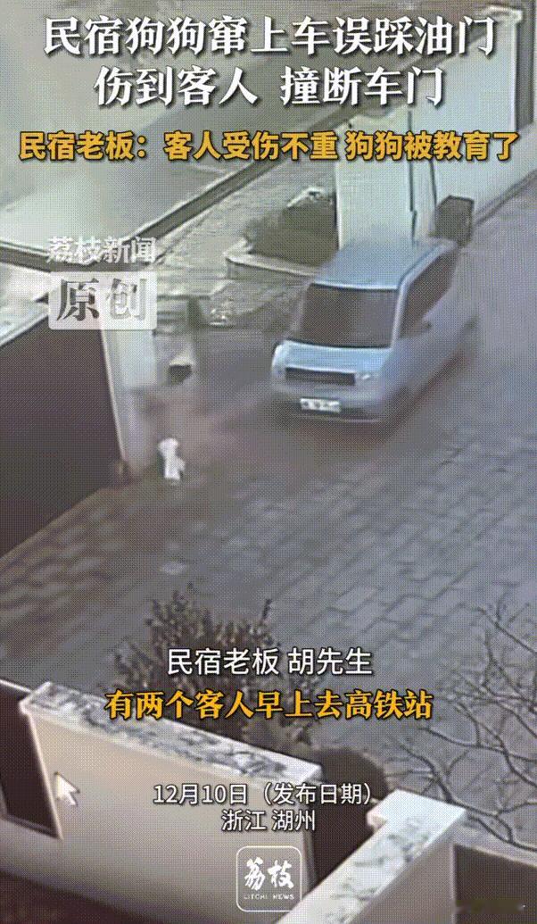 狗子成精了！浙江，民宿主人在民宿养了只可爱的狗狗，当天管家把车打着火以后，就去下