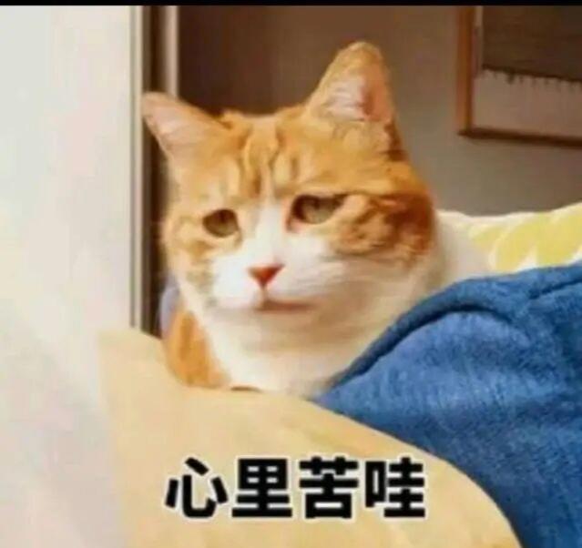 作者加速成长计划美伊战争俄乌战争之所以打成现在这样打成了消耗战持久战，除了伊朗乌