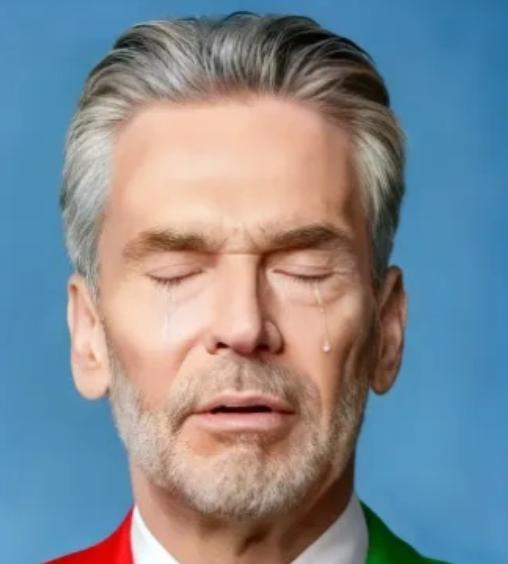 荷兰安世这下彻底懵了！近日安世半导体中国公司给所有经销商发了封信，核心就一句：从