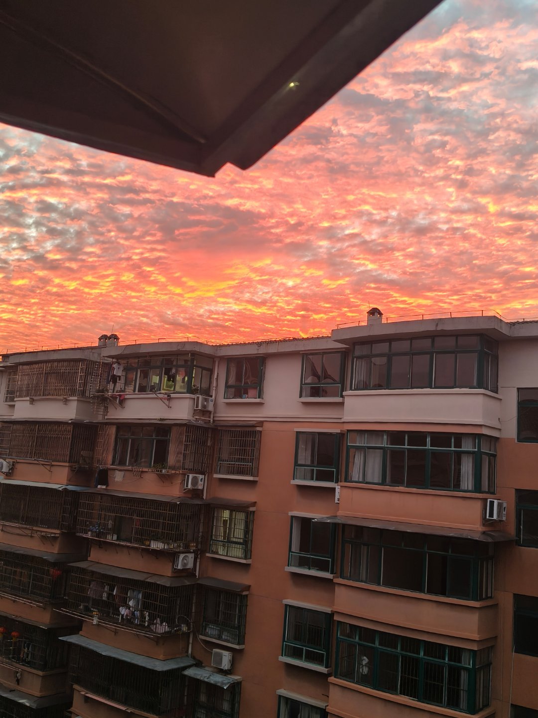 今天天气非常不错 