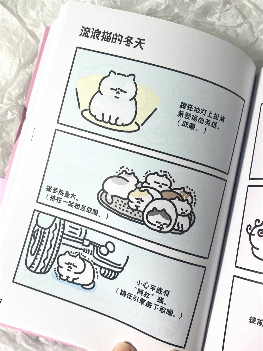 “小猫爱你 就会永远爱你” 