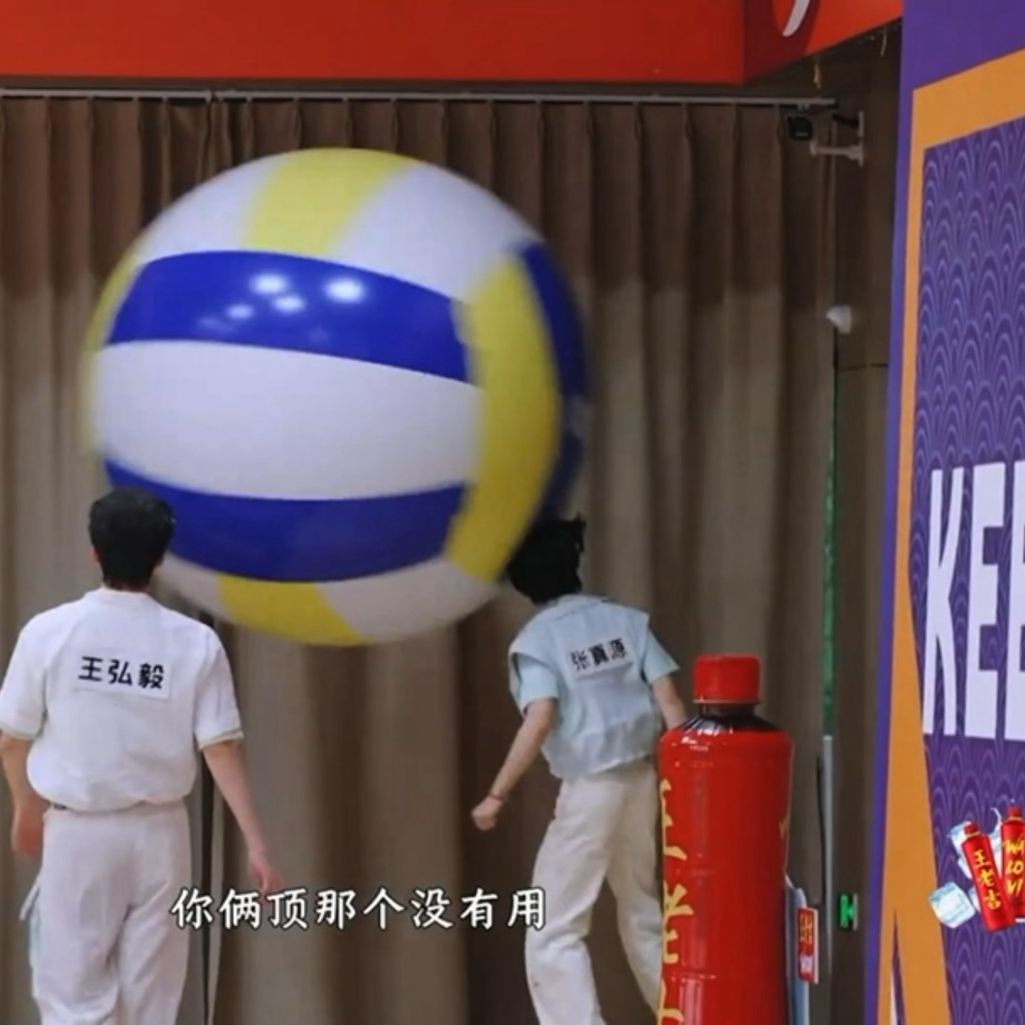 此小狗在我眼里就如此： 