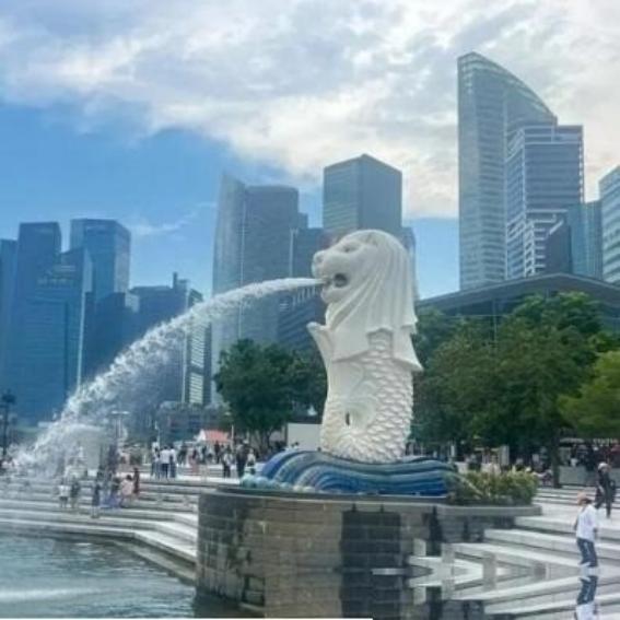 中美起冲突，新加坡挺美国。中日起冲突，新加坡挺日本。中菲起冲突，新加坡挺菲。中印