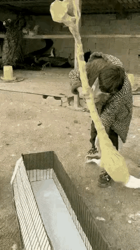 这是一个万物皆可打包托运的时代。