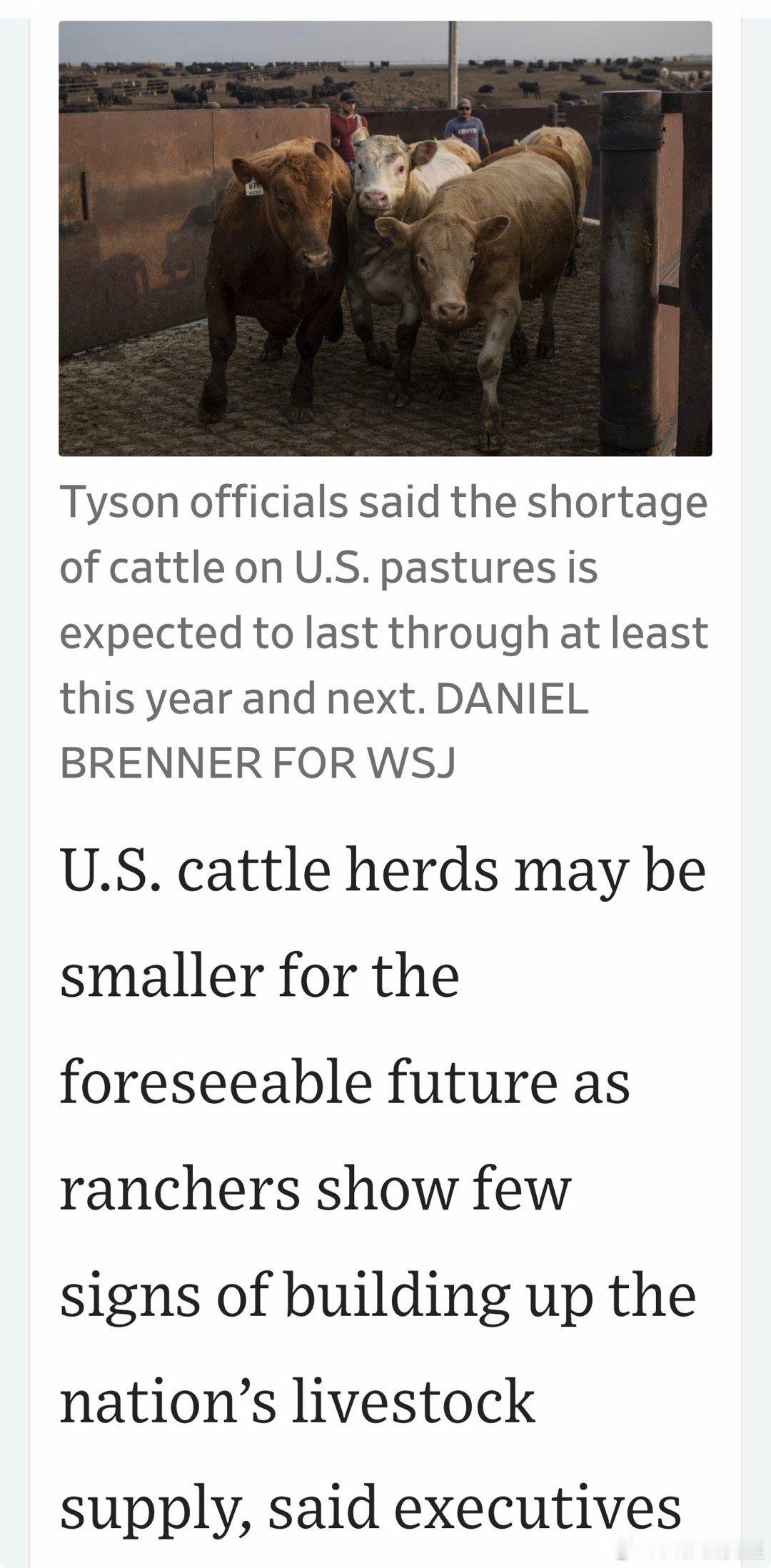 美国牛肉价格，今明两年不会有显著改善美国牧场，没有迹象在增加养殖数 