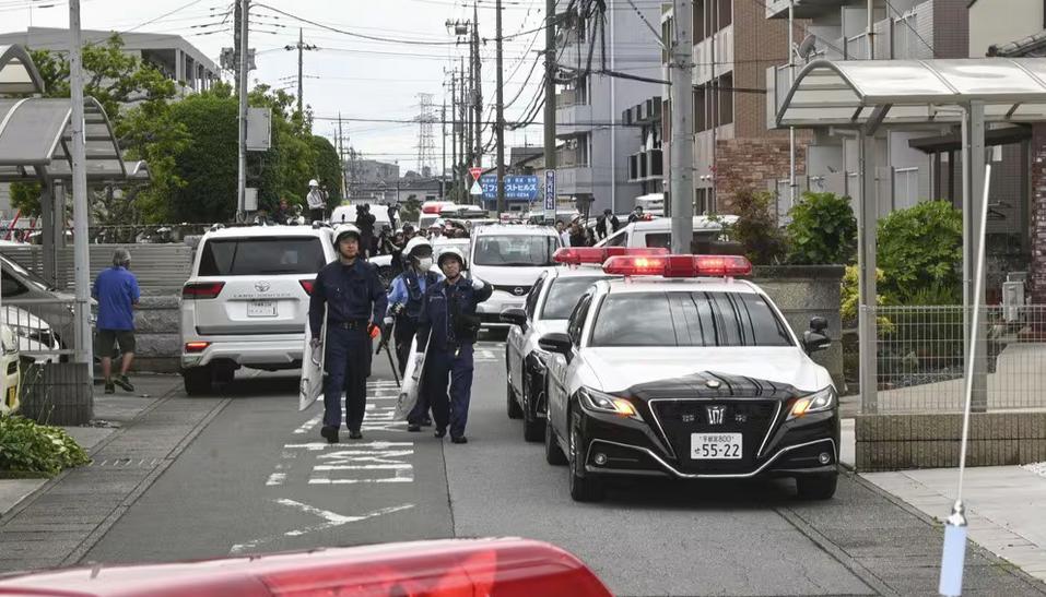 为害邻里的黑熊，终被捕获

经过多日的搜捕，日本当局出去大批人员成功抓获了一头黑