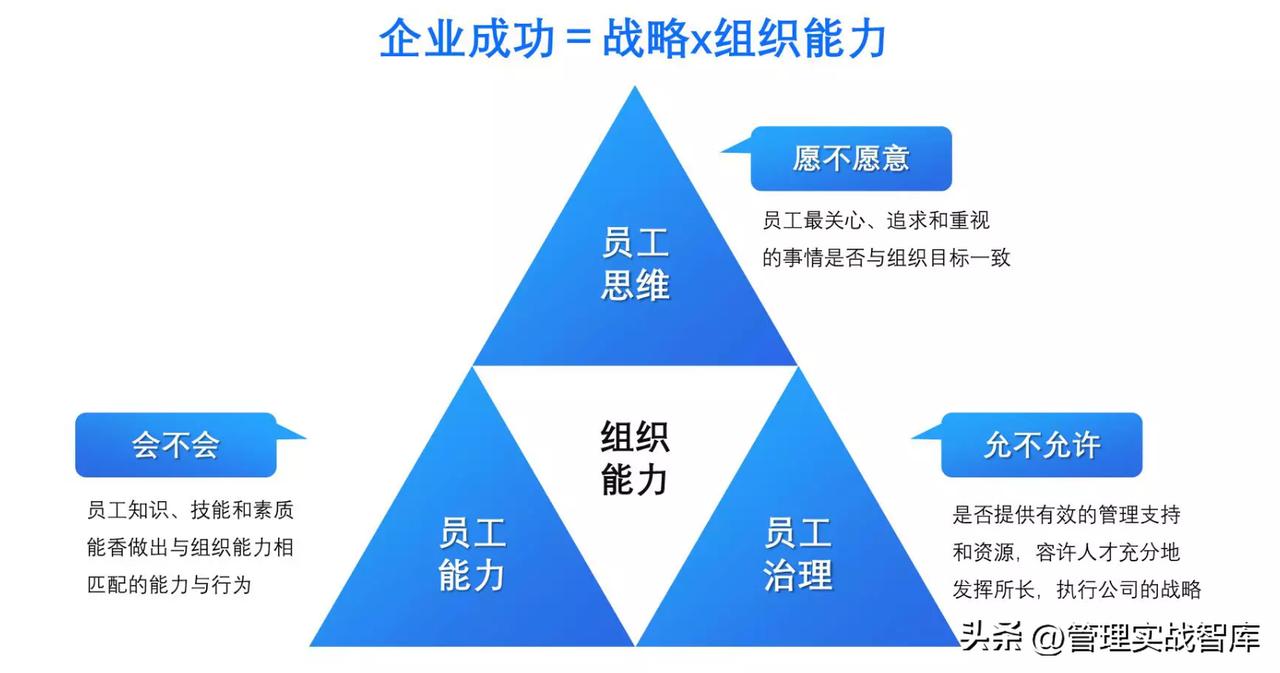 杨三角/组织能力模型