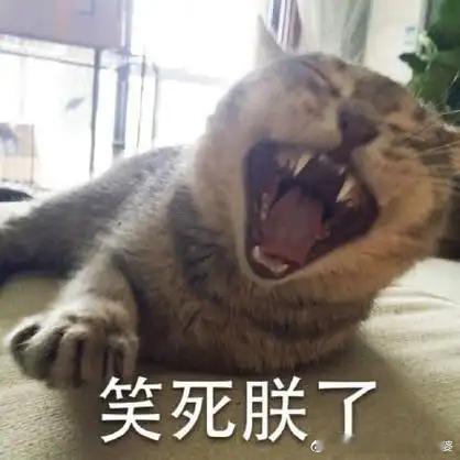 消博会上的硬核科技展现未来趋势说个笑话，南方的博览会展位基本都是展出主题产品，北