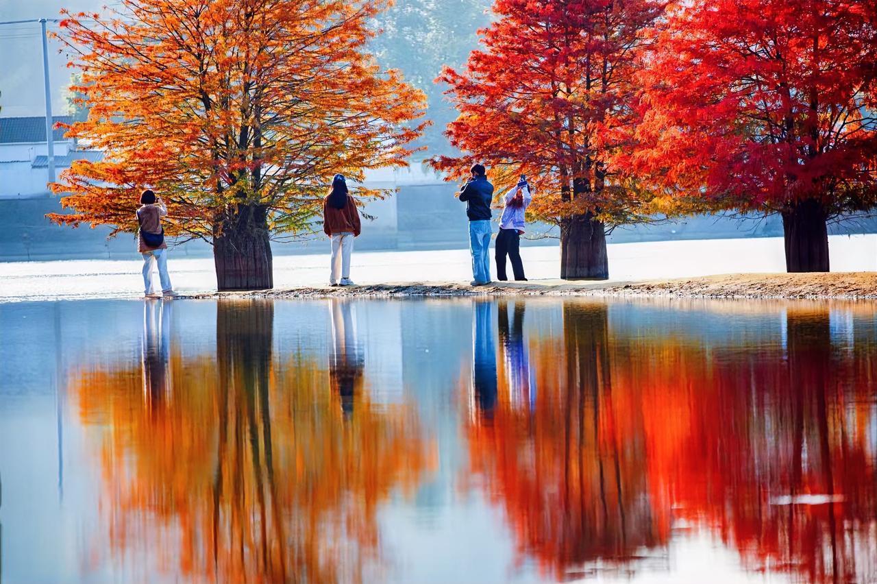 古人云
过去不可追
未来不可期
唯有当下最真切

去感受一缕清风
一杯热茶
一个