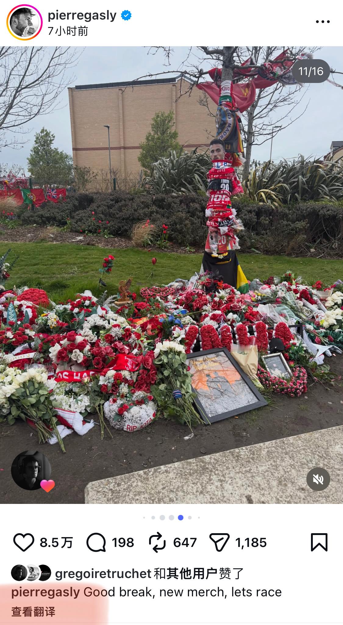 加大师去看若塔了