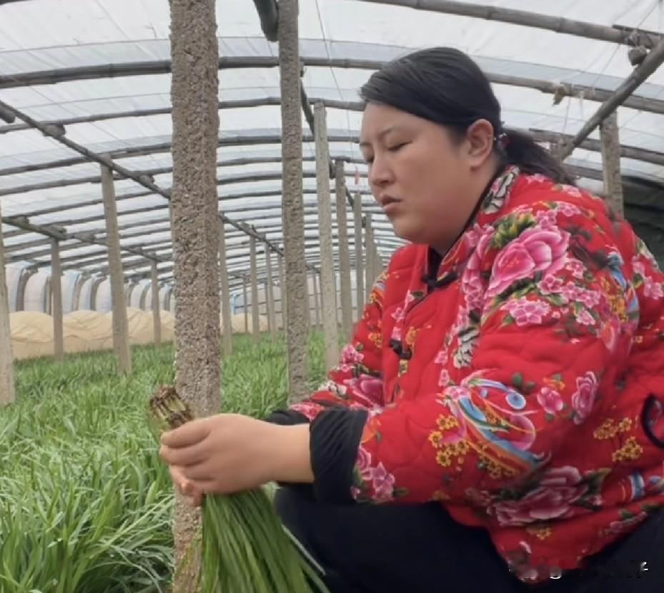 小二姐回老家卖韭菜也是很拼！
穿着花棉袄，对着镜头，嗓子都嘶哑了，买一把割一把，