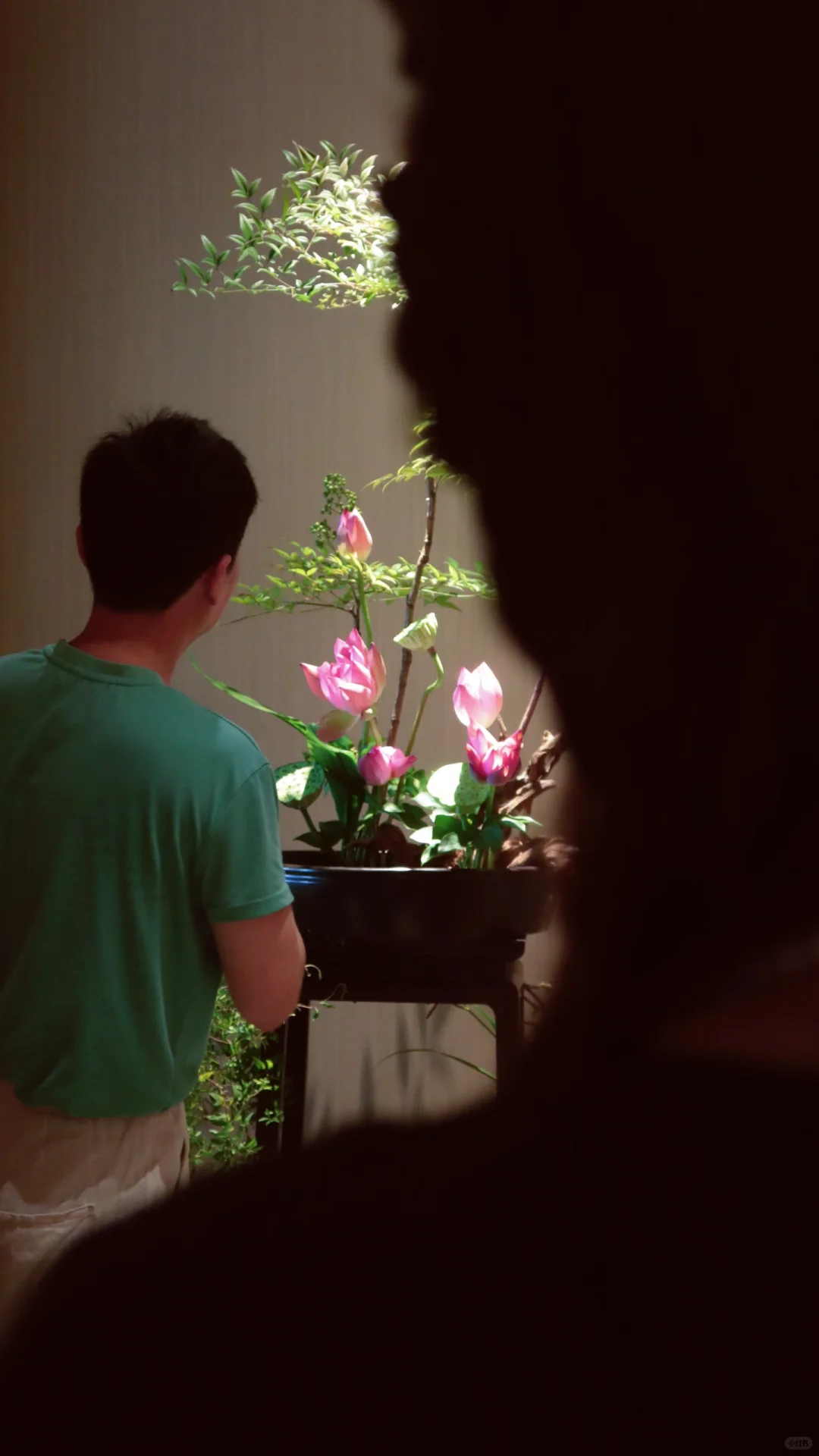 那些比花更美的风景