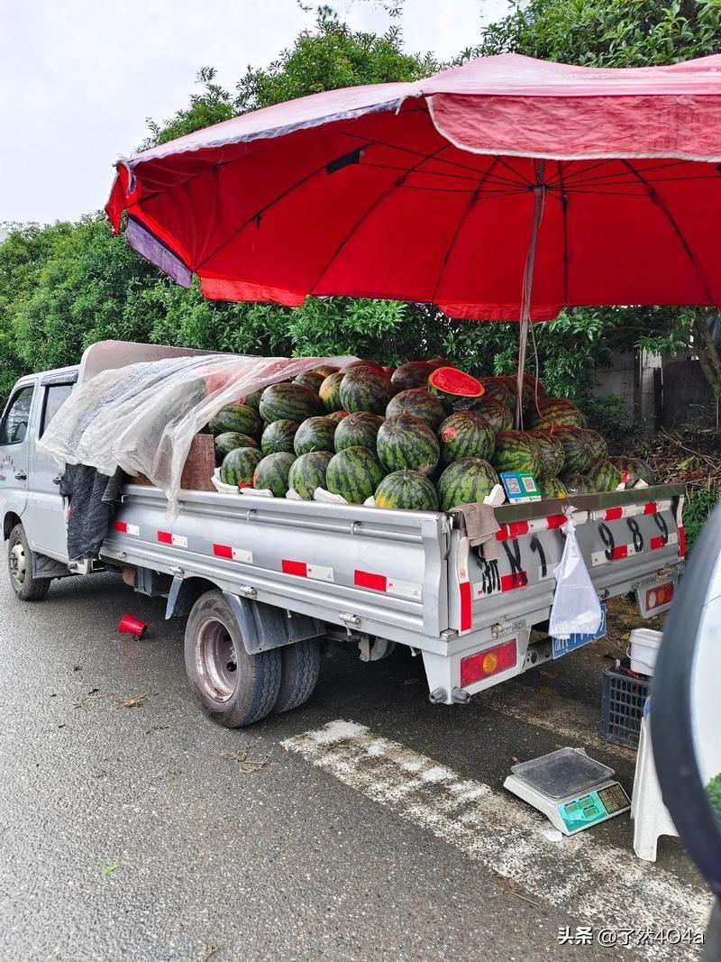 河南西瓜价格为何如此低廉往年行情向好，农户盲目扩大种植面积。多省西瓜同期集中上市