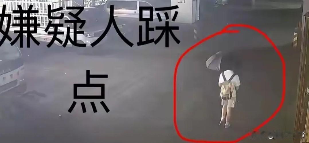太气愤了！想毒杀网红捡瓶子小狗的人找到了！是位白衣男子！
广州网红法斗“小白”那