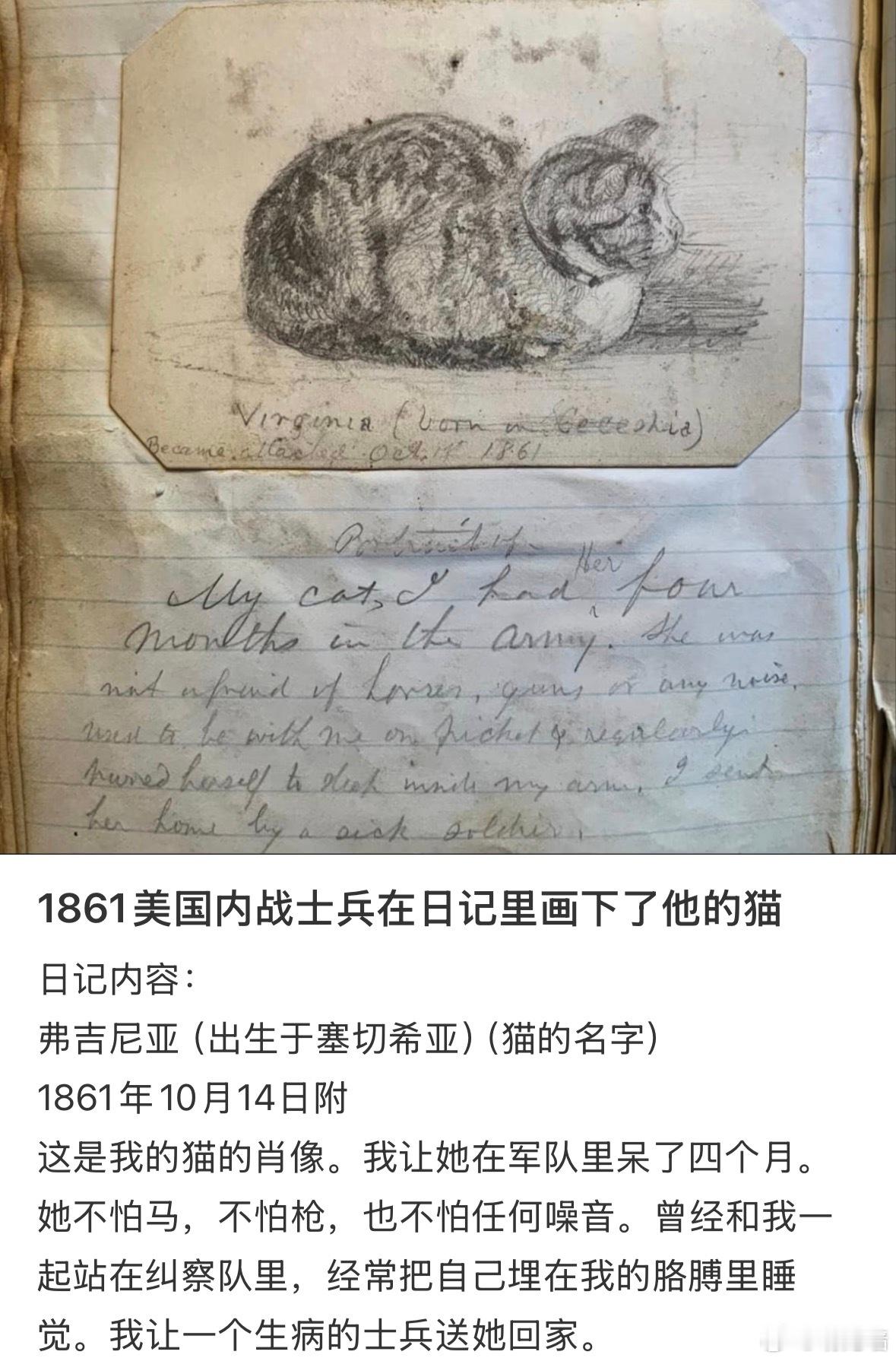 美国内战士兵在日记里画下了他的猫 