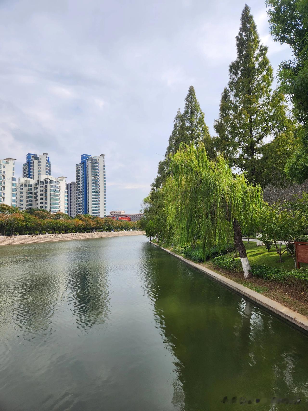 南京处处都是景。
南京