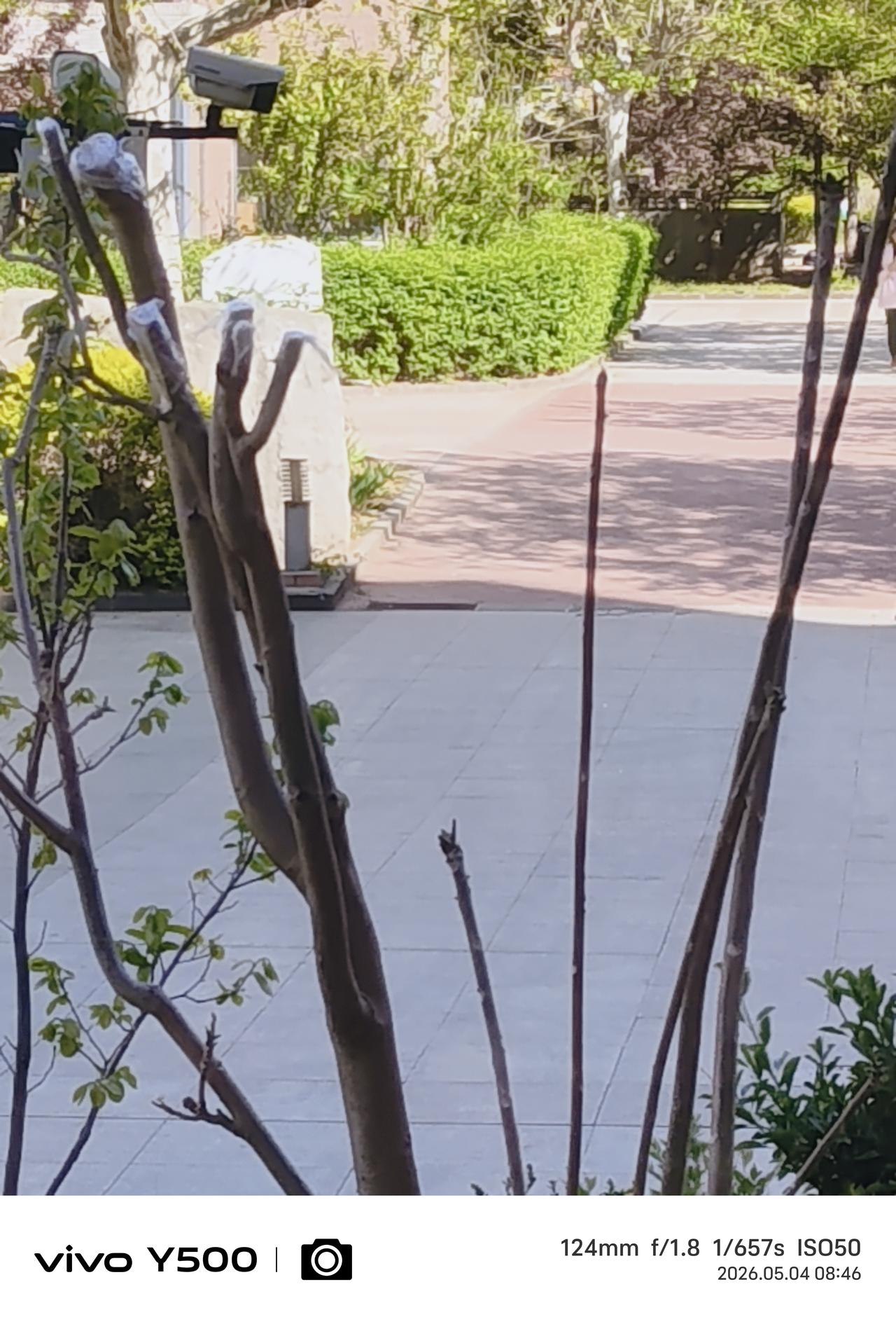《劳动节找活干》
总想过一个名副其实的五一国际劳动节，找个劳动动一动，舒展一下筋