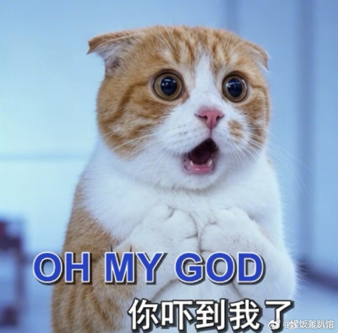 毛晓彤说净扒瞎 哈哈姐这网速真的绝了！演个东北妹子，第一句台词就是“净扒瞎”，配