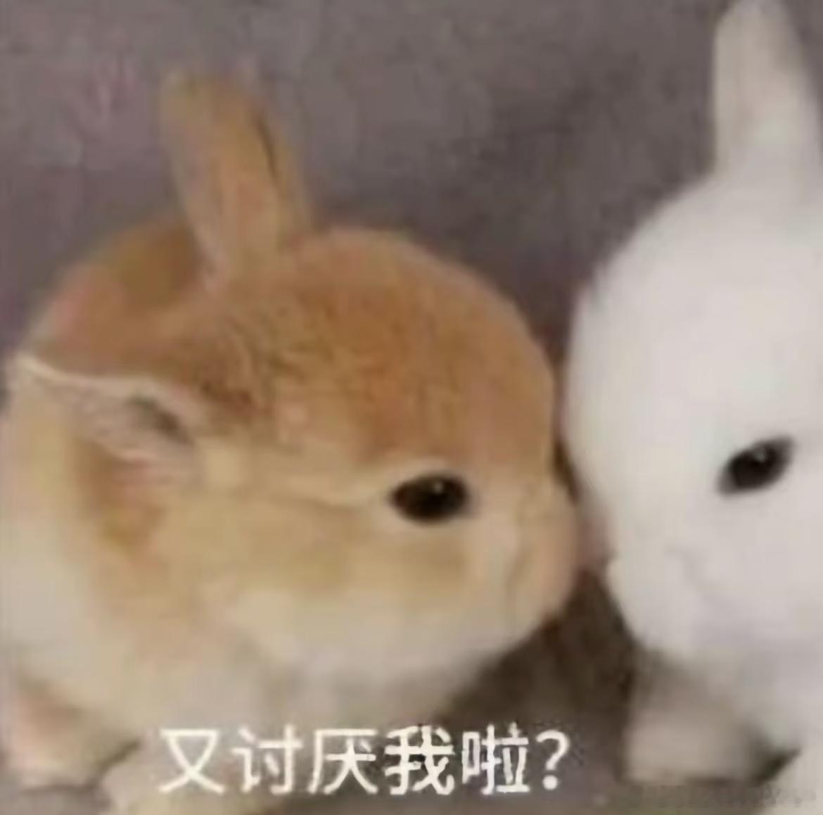 能不能塑一下 