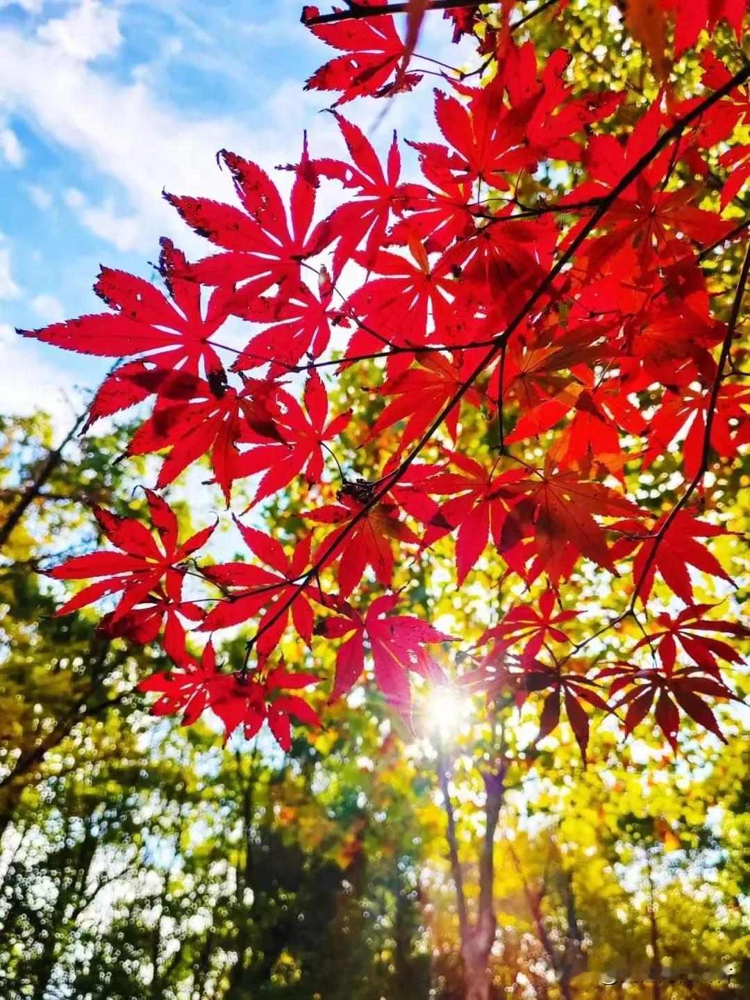 周一上班，又逢雨天。
在我的记忆中，周一下雨的比例似乎很高。
记得有一次，江苏广