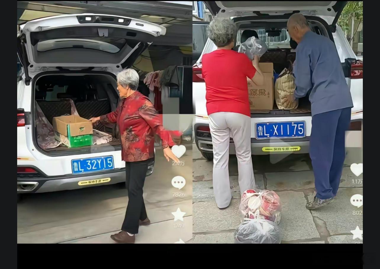 网友质疑徐老太太一家驾驶的奇瑞车辆疑似套牌，同一辆车用着不同的牌照。我深入了解了