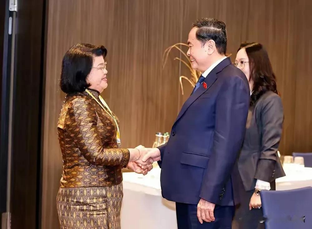 越南领导陈青敏在瑞士会见柬埔寨国会主席昆索达莉女亲王。
这个越南大官体型怎么长成