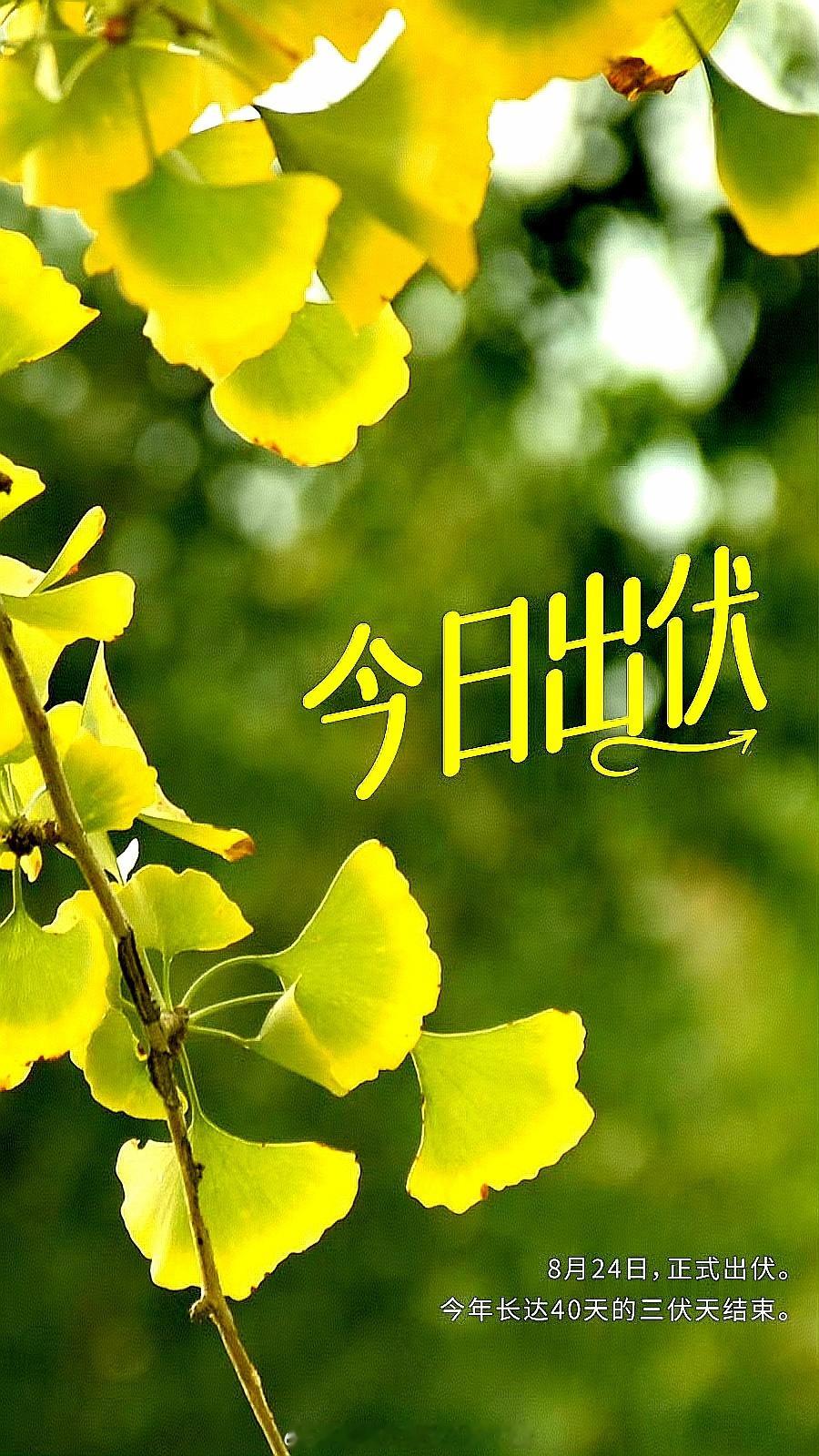 #超长三伏天正式下线# 超长三伏天正式下线#”。2024年的三伏天从7月15日开