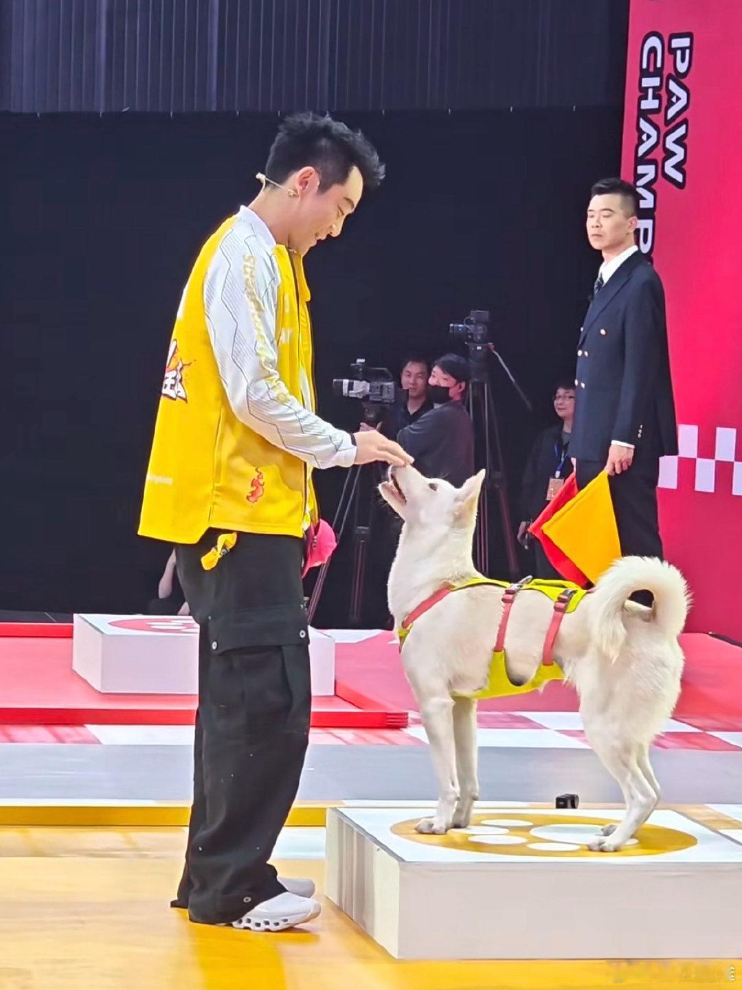 郑恺官宣DHC品牌新身份 从收养大小姐开始就觉得郑恺是真的喜欢小动物，这次出任 