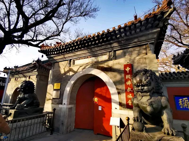 “烧戒疤”并非佛教原本规矩，还伤身体。故中国佛教协会决定取消这一陋习，以后出家当