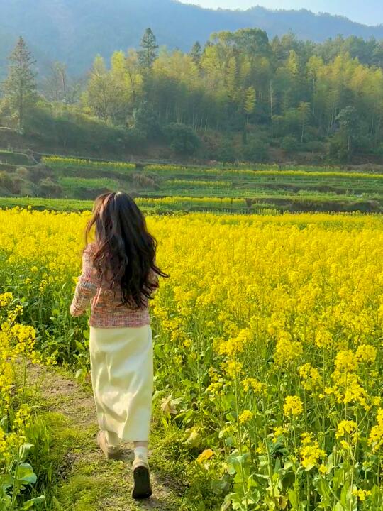 想看看你们手机里拍到的春天💛