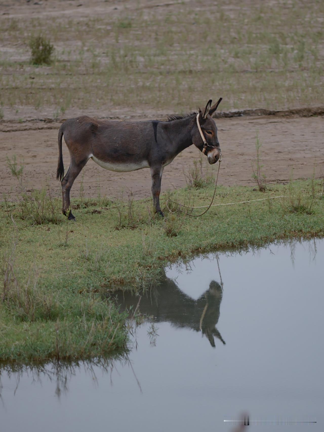 多照镜子就能发现自己的丑可能与胖瘦无关。