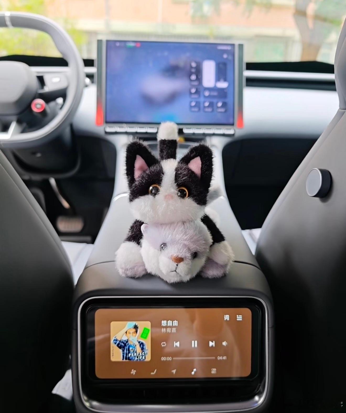 看了小米车主晒的磁吸玩偶也太可爱了，本来不种草的，看完准备去下单，才79一个。结