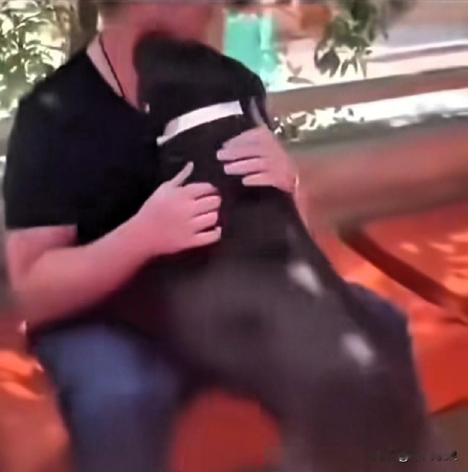 退役军犬过10岁生日，训导员多年不见的狗狗去看望它，狗狗扑到在训导员怀里的画面。
