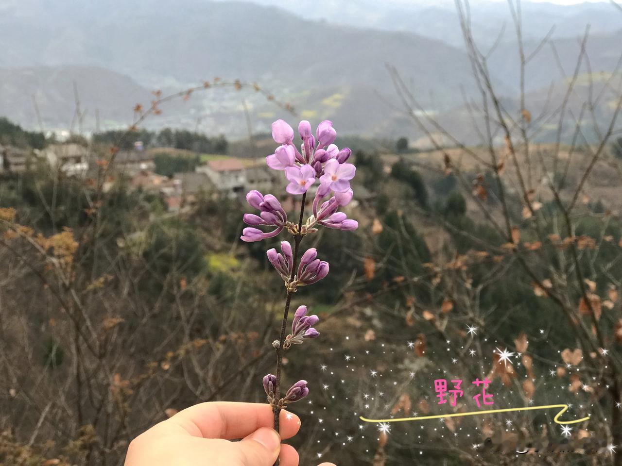 春天的脚步👣，期待——[可爱] 一切都会越来越美好的！