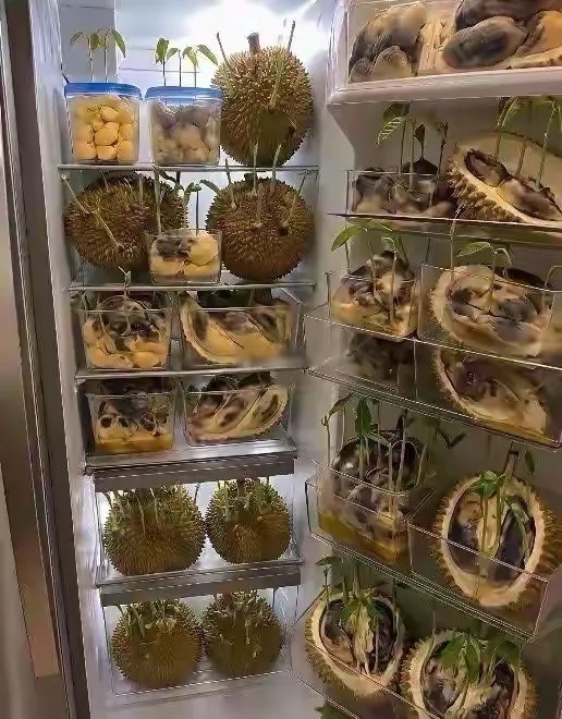 这绝对家里条件很好！ 