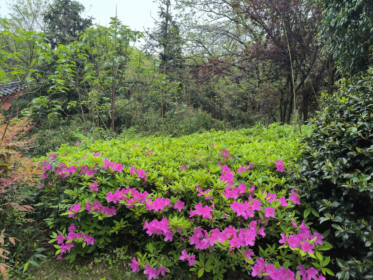 小故事：相遇（4月15日原创）

一位贵妇人与一位穷妇人在独木桥上相遇。

穷妇