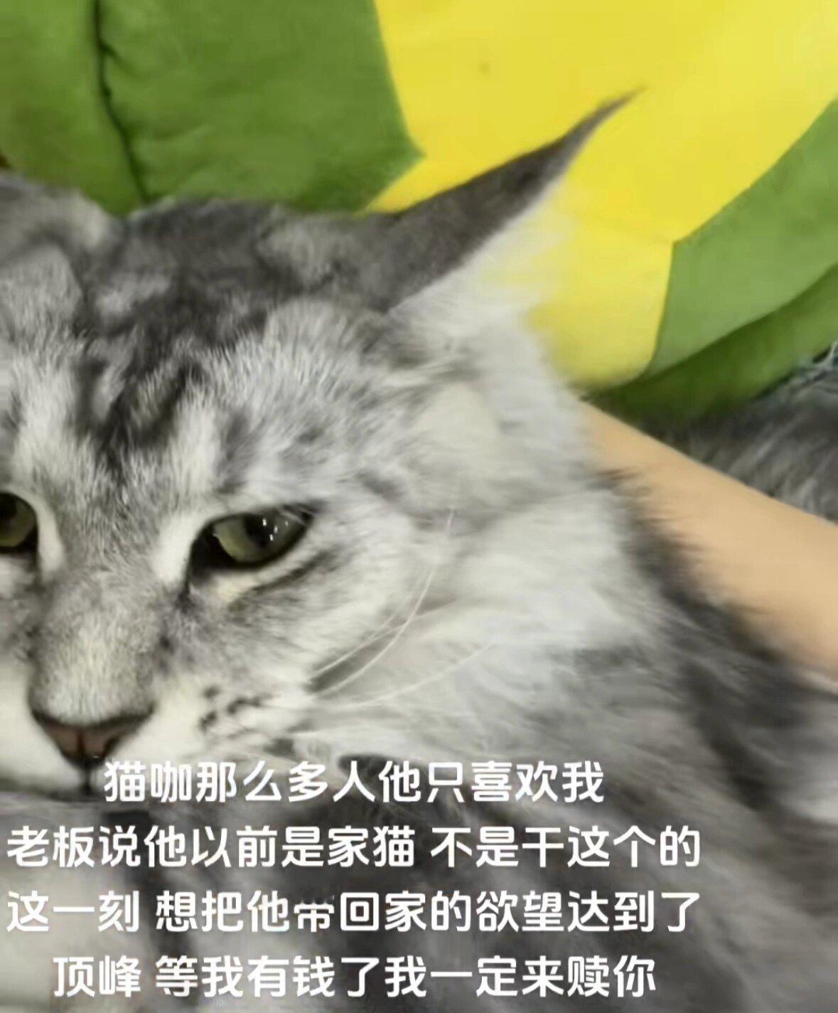 中国人骨子里的救风尘 ​​​