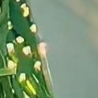 💫阳光信用💫每日一善只有心里有阳光的人，才能感受到现实的阳光，如果连自己都常