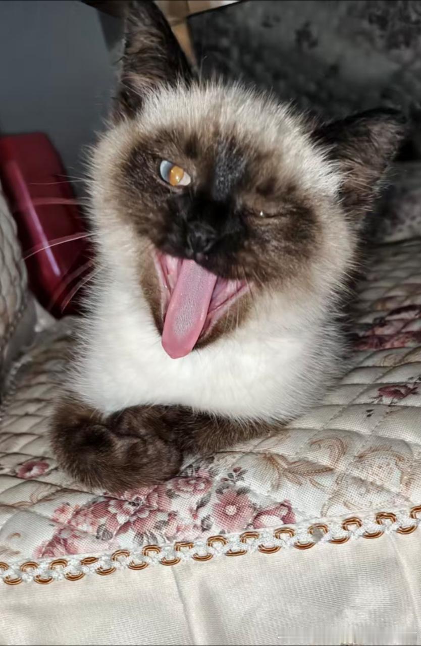 49462【丑猫】丫头看得叔心都化了 