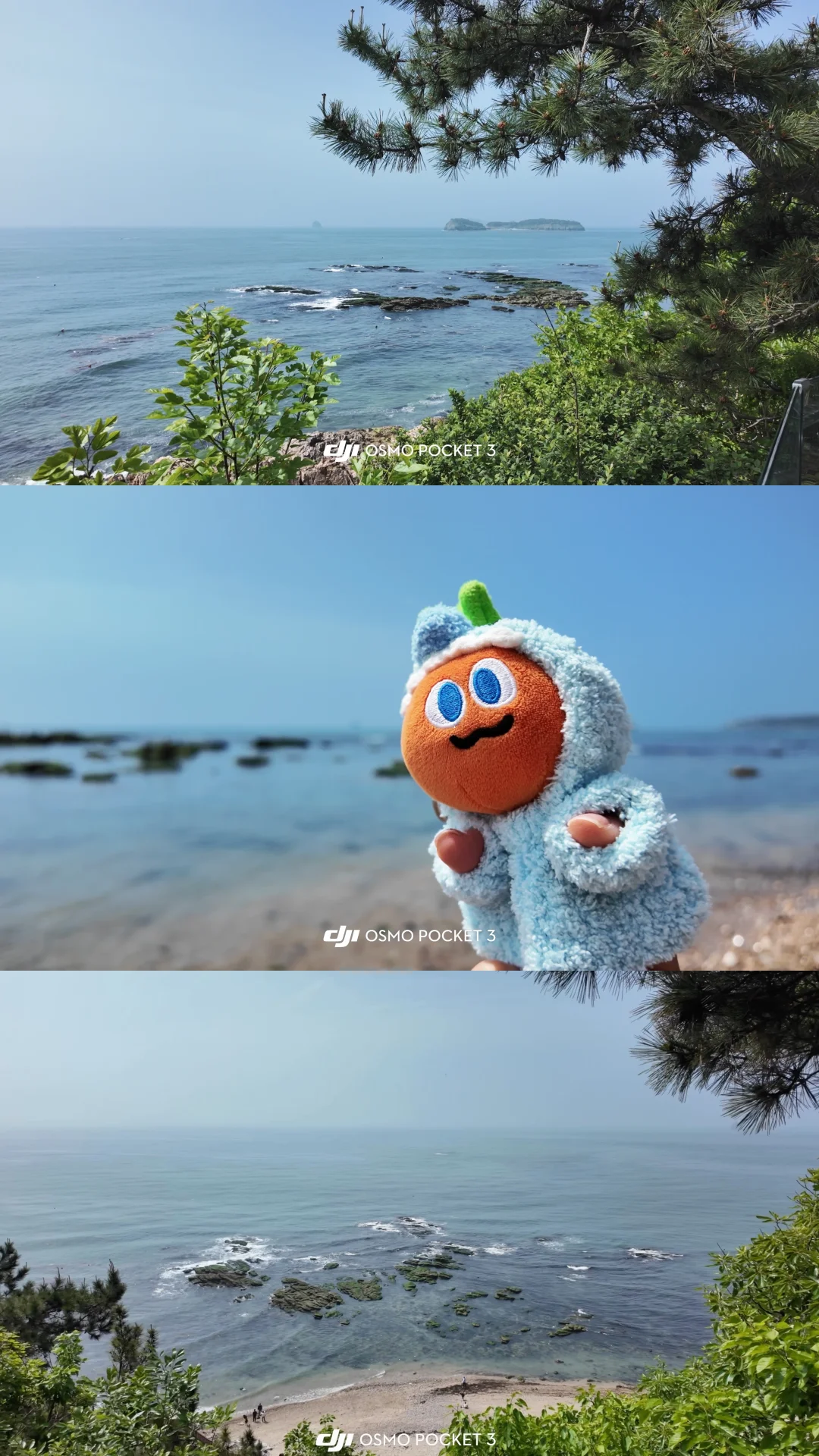 延迟一周的朋友圈