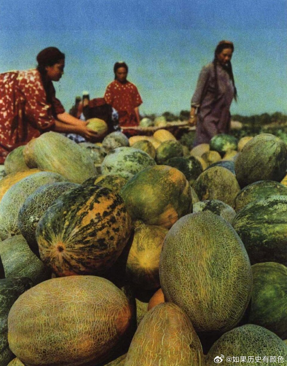 1965年 新疆哈密瓜 ​​​