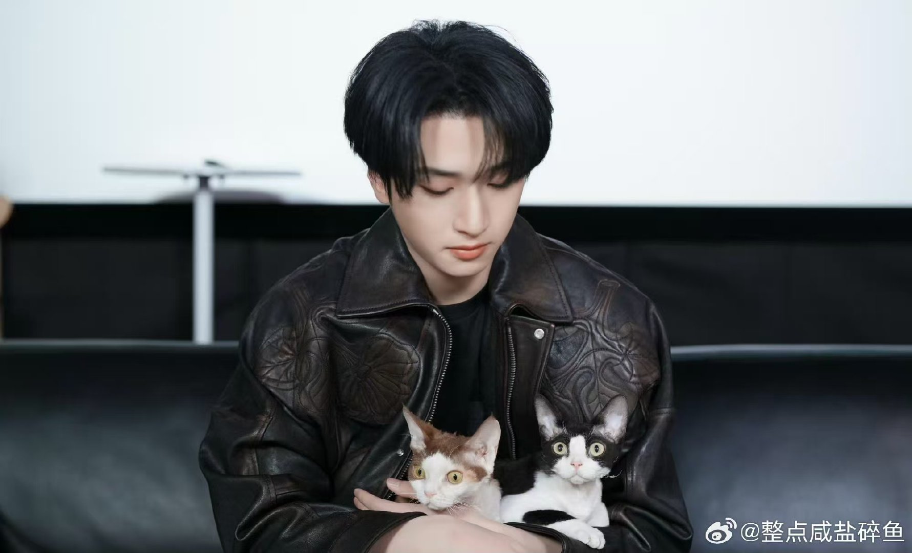 严浩翔胳肢窝挺凉快啊总结：严浩翔笑到失控，衣服裂到抽象，胳肢窝凉到出圈 