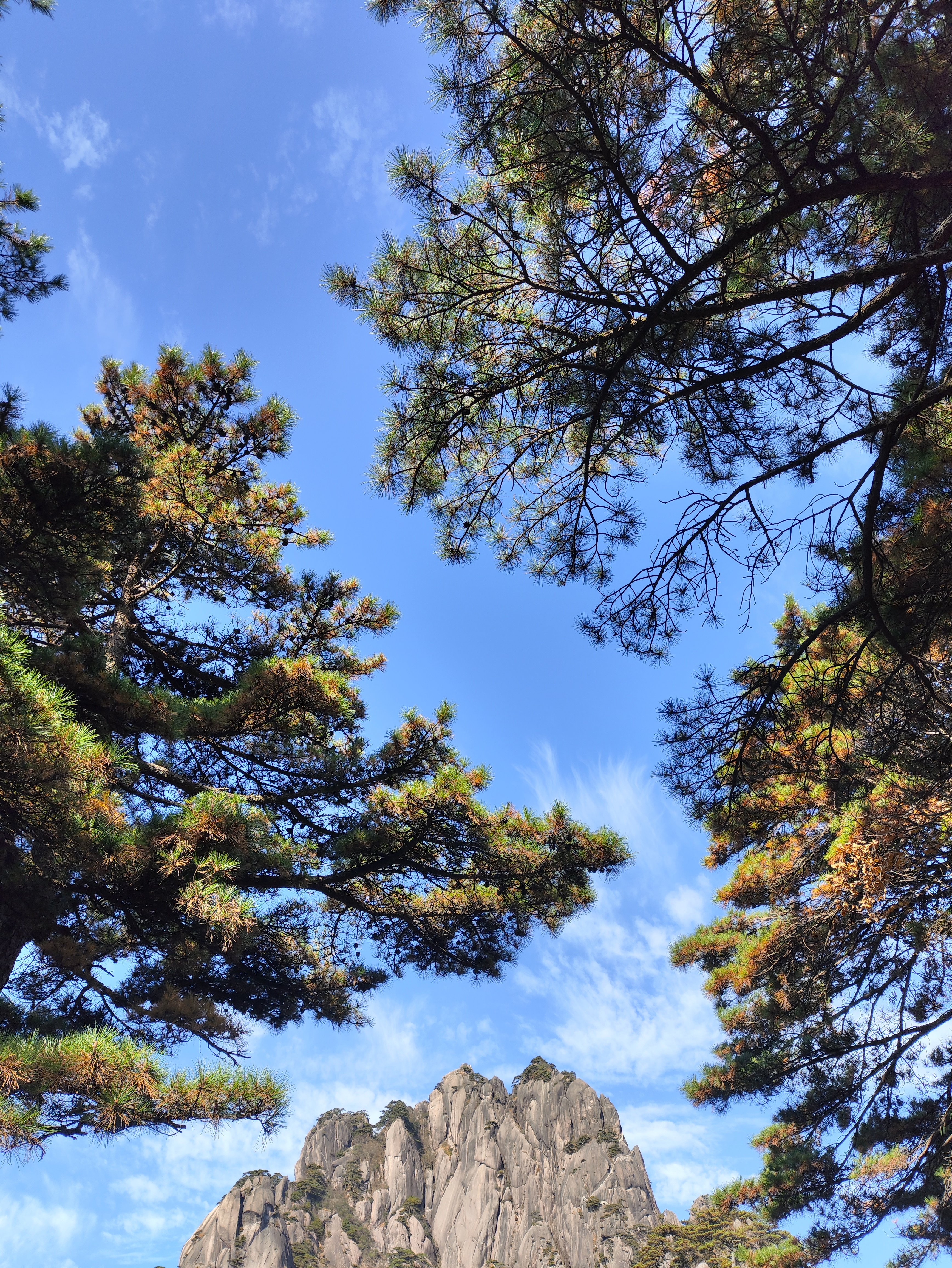 港曲歌词总是会有说不清道不出的华语语境特有的克疚、缱绻、辗转、直来直去又晦涩潜隐