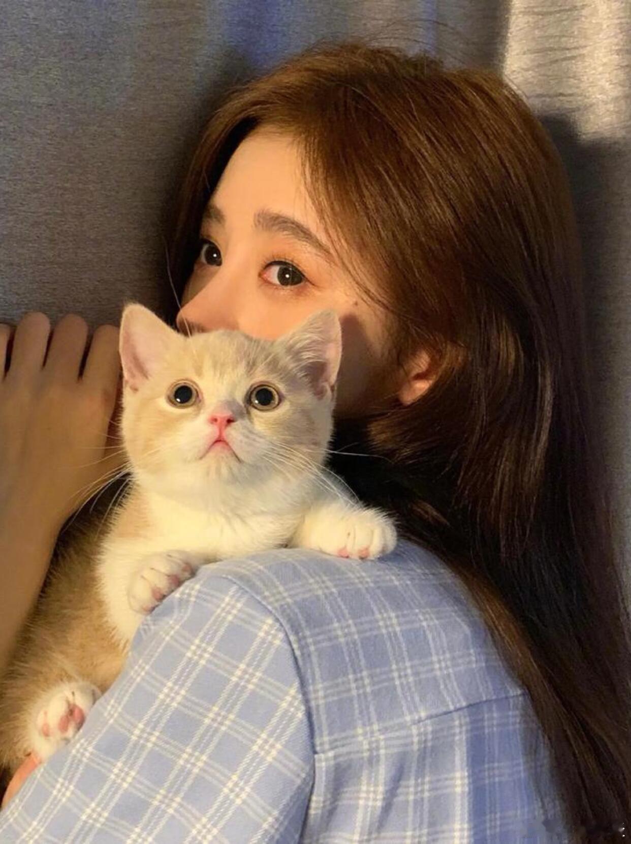 鞠婧祎鞠婧祎的猫也有番位 给猫咪划分番位看着像是玩梗，其实藏着鞠婧祎满满的偏爱，