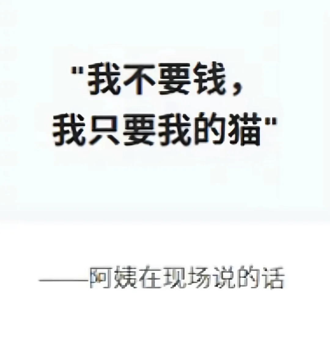 它的8年也是她细心呵护的八年啊！！！