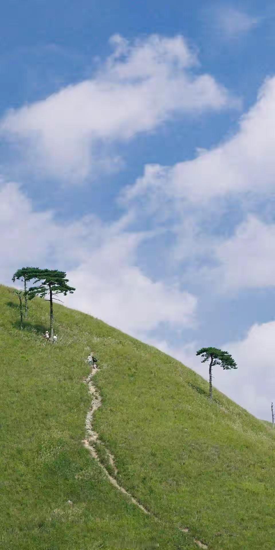 同居小插曲：洗澡后的尴尬与甜蜜

和女朋友同居才短短两个月，可这两个月里，每一天