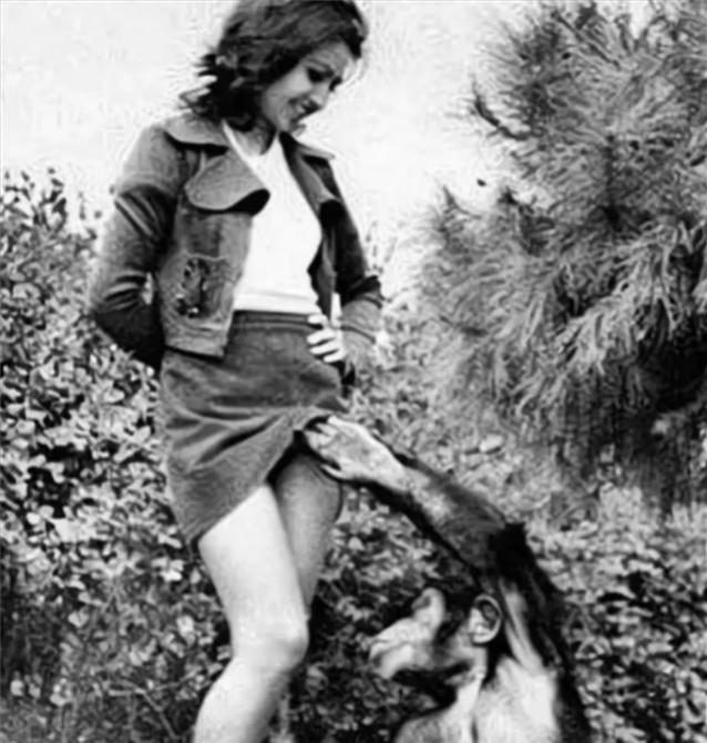 1956年法国动物园内一只大猩猩在女孩身上翻找，它究竟在找什么呢？其实当时这个女