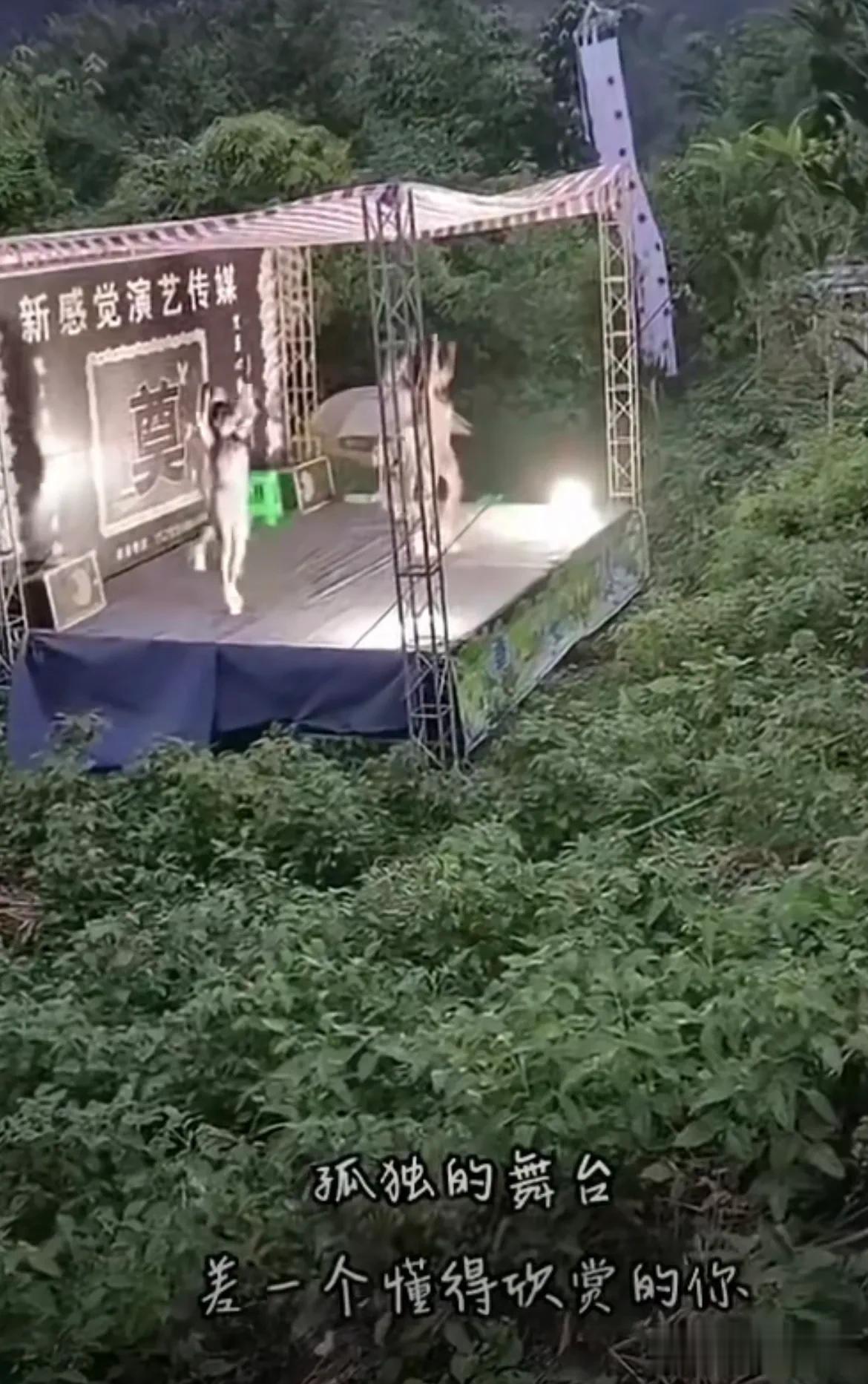 这是跳给谁看的？
家里的老人要生前孝顺
死了搞得再热闹也是给活人看的
这种直接在