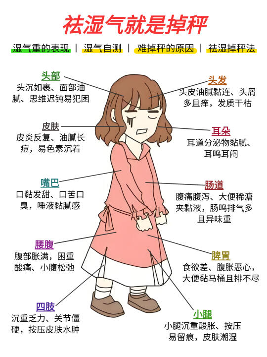 掉秤先祛湿❗❗湿气越重越瘦不下……