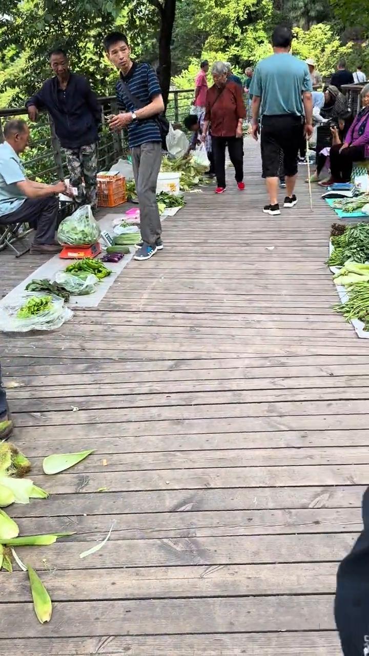 站到那个位置，卖苞谷、卖玉米的、卖藤藤菜的。嬢嬢卖菜，自己泡的双海椒，全部自己种
